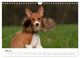 Thumbnail-10