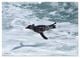 Thumbnail-12