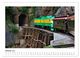 Thumbnail-12
