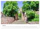 Thumbnail-9