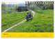 Thumbnail-10