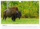 Thumbnail-10