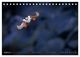 Thumbnail-9