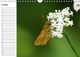 Thumbnail-13