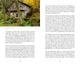 Thumbnail-12