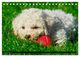 Thumbnail-14