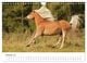 Thumbnail-12
