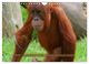 Thumbnail-9
