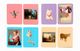 Thumbnail-15