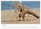 Thumbnail-12