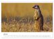 Thumbnail-12