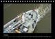 Thumbnail-13