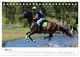 Thumbnail-10