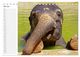 Thumbnail-12