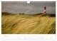 Thumbnail-10