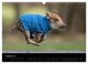 Thumbnail-10