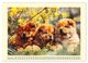 Thumbnail-10