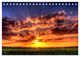 Thumbnail-9