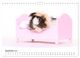 Thumbnail-11