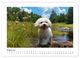 Thumbnail-12