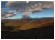 Thumbnail-13