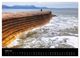 Thumbnail-8