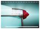 Thumbnail-14