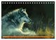 Thumbnail-13