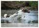 Thumbnail-12
