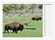 Thumbnail-11