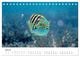Thumbnail-12