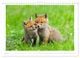 Thumbnail-9