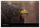 Thumbnail-13
