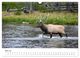 Thumbnail-10