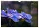 Thumbnail-10