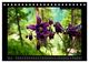 Thumbnail-9