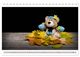 Thumbnail-13