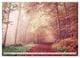 Thumbnail-13