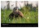 Thumbnail-14