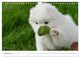 Thumbnail-14