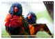Thumbnail-13