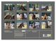 Thumbnail-4