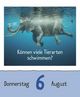 Thumbnail-11
