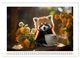 Thumbnail-14