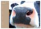 Thumbnail-10
