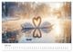Thumbnail-12