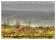Thumbnail-9
