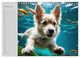 Thumbnail-12