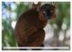 Thumbnail-13