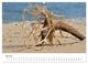 Thumbnail-9